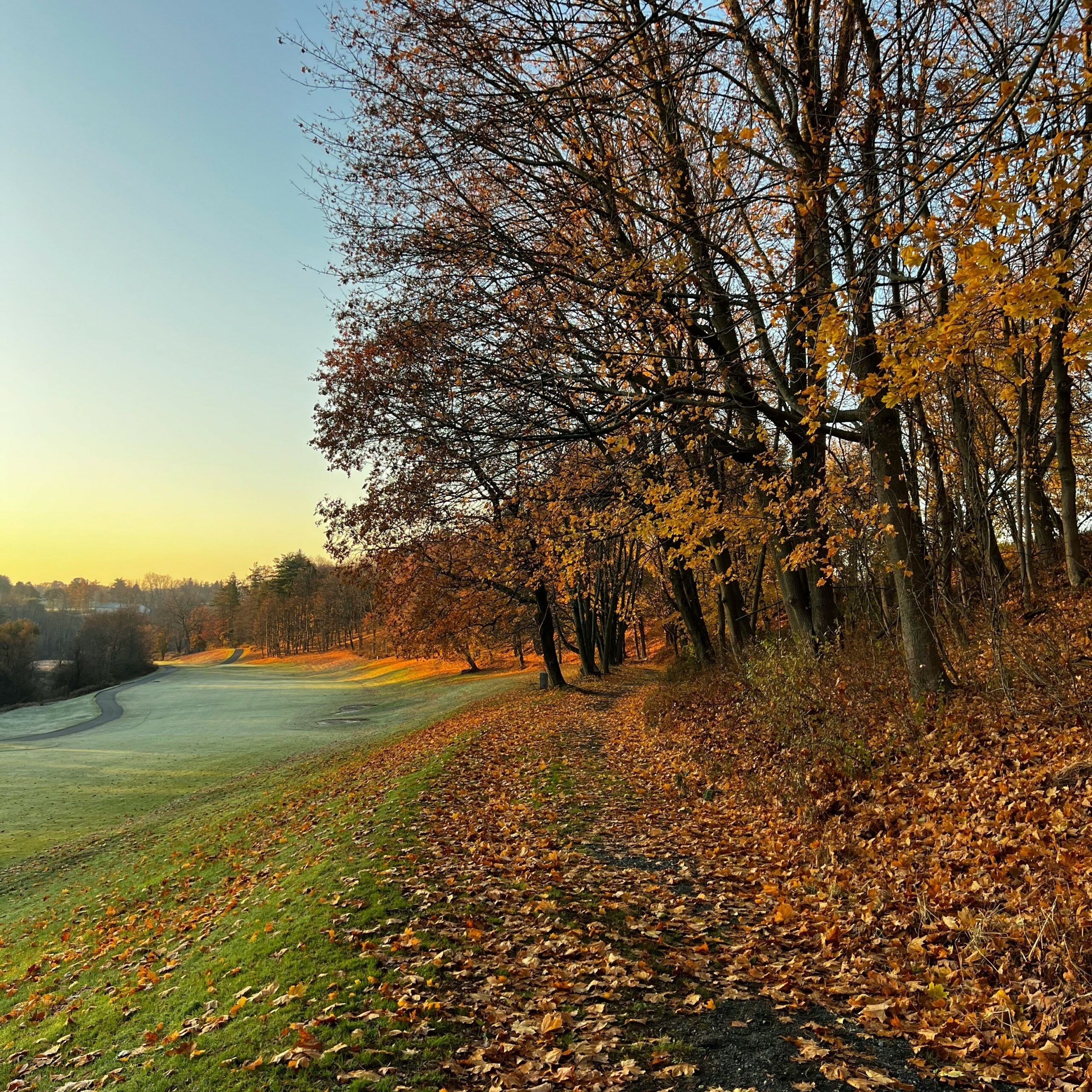 scenic fall trail